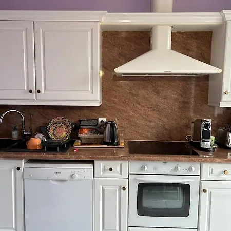 Le Dante Clim Balcon Apartment *